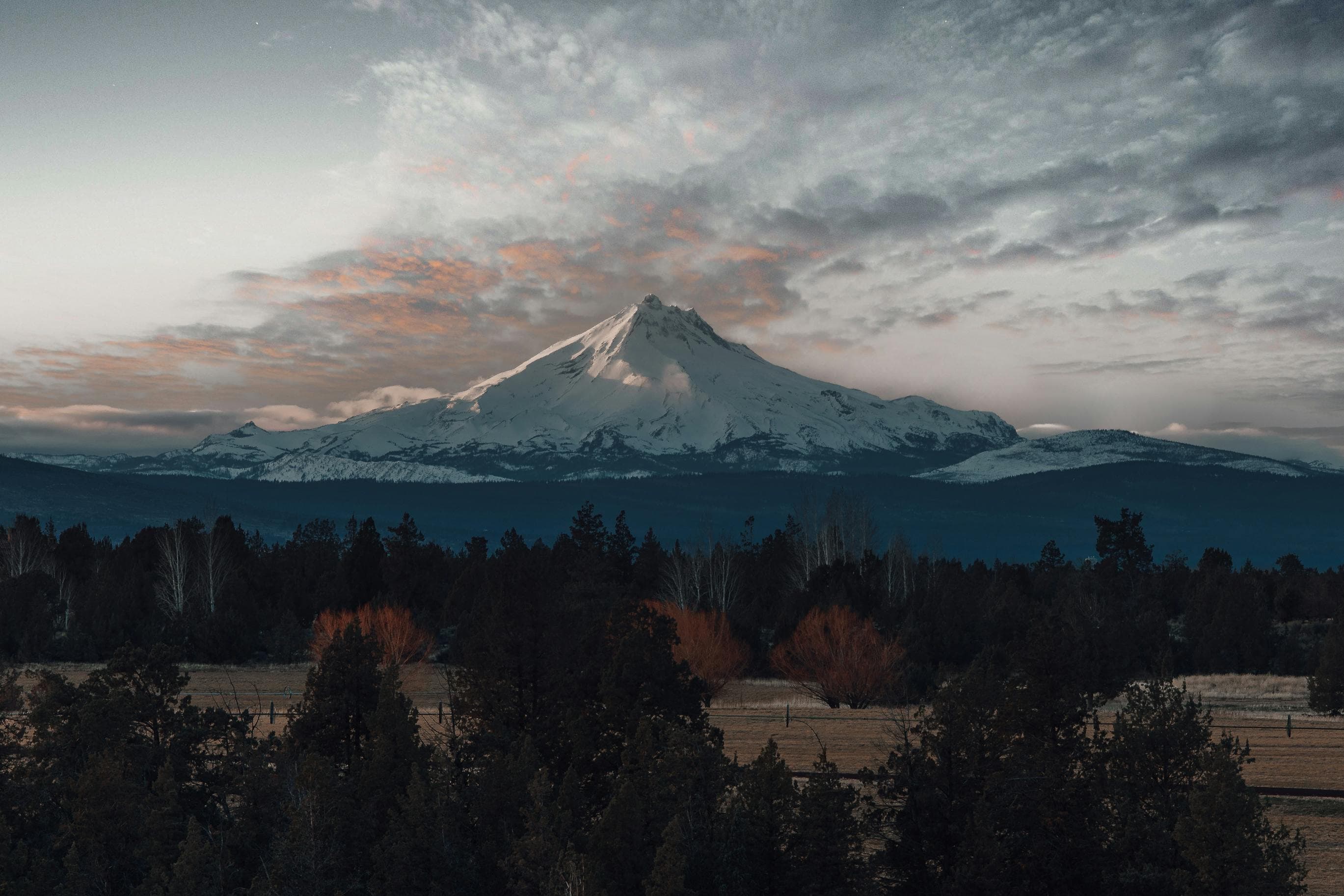 Cedar - Get Free Quotes from Portland Pros